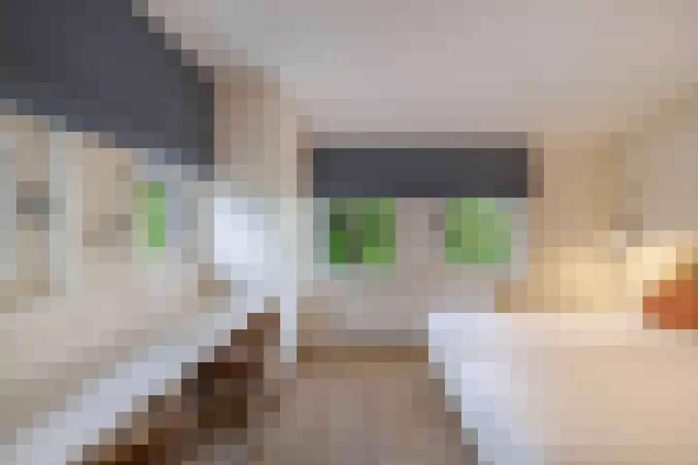Muggenbeet 6 d Blokzijl thumbnail 31