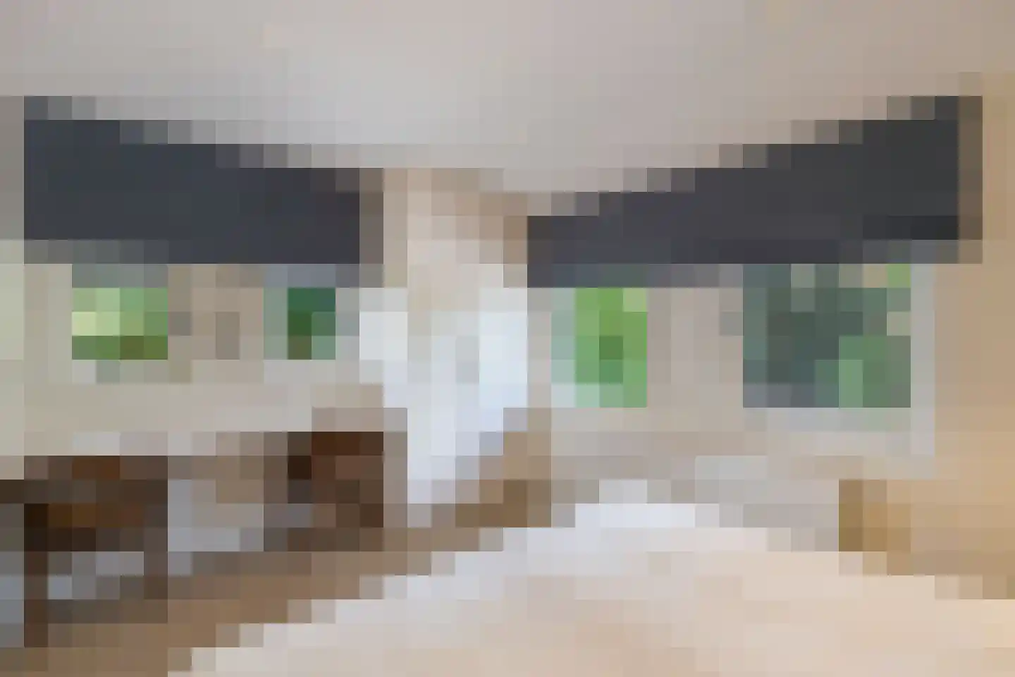 Muggenbeet 6 d Blokzijl thumbnail 32