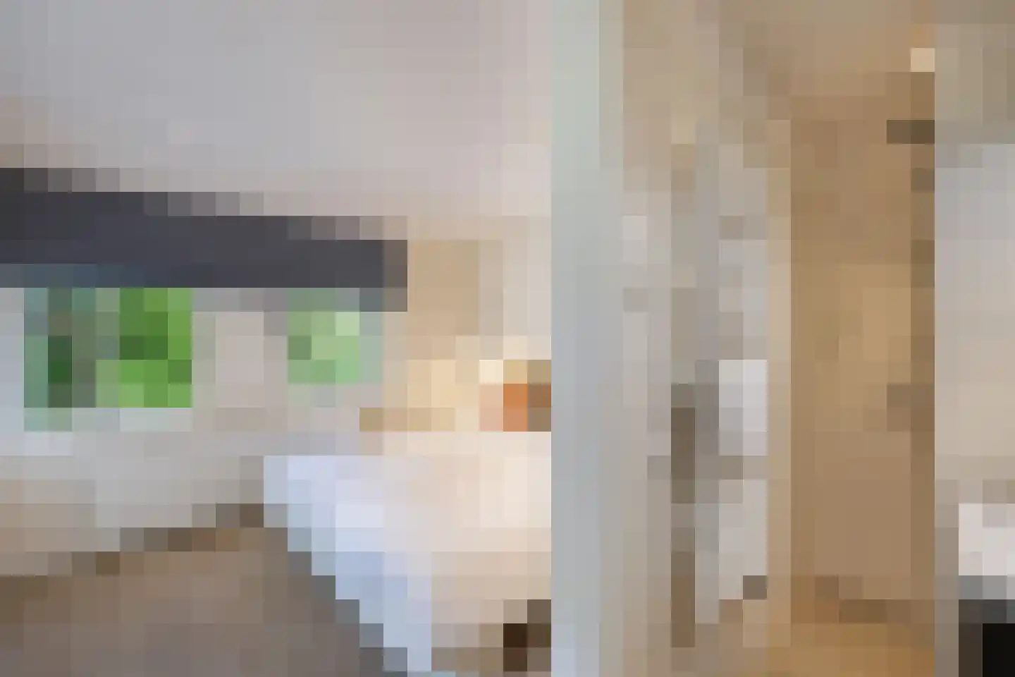 Muggenbeet 6 d Blokzijl thumbnail 33