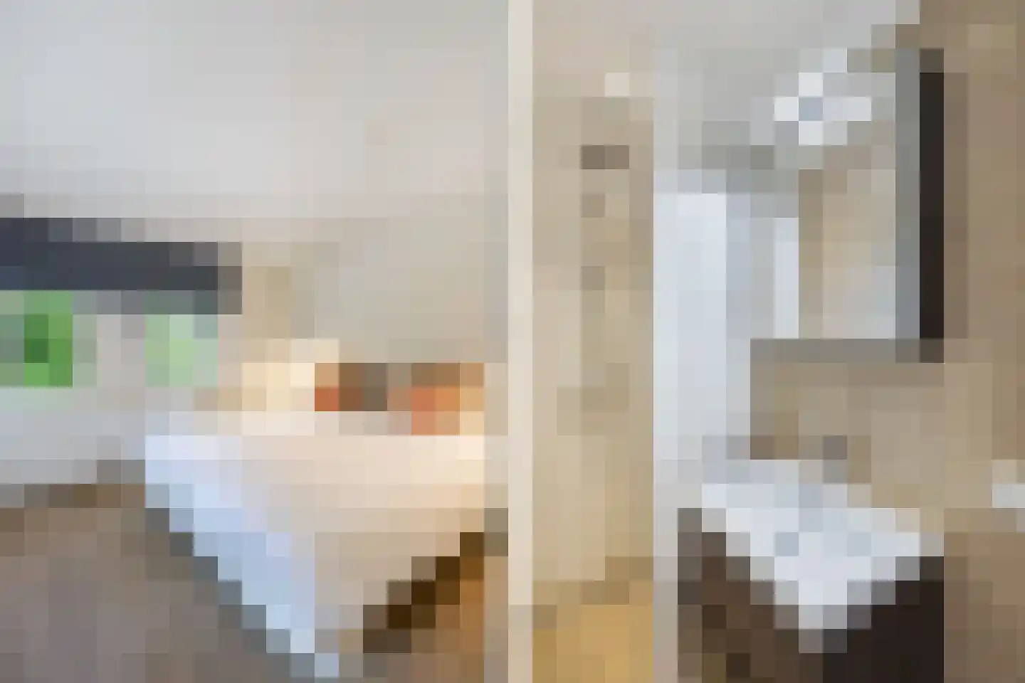Muggenbeet 6 d Blokzijl thumbnail 34