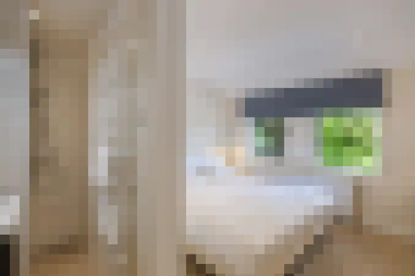Muggenbeet 6 d Blokzijl thumbnail 37