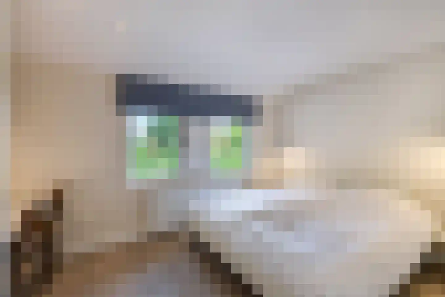 Muggenbeet 6 d Blokzijl thumbnail 40