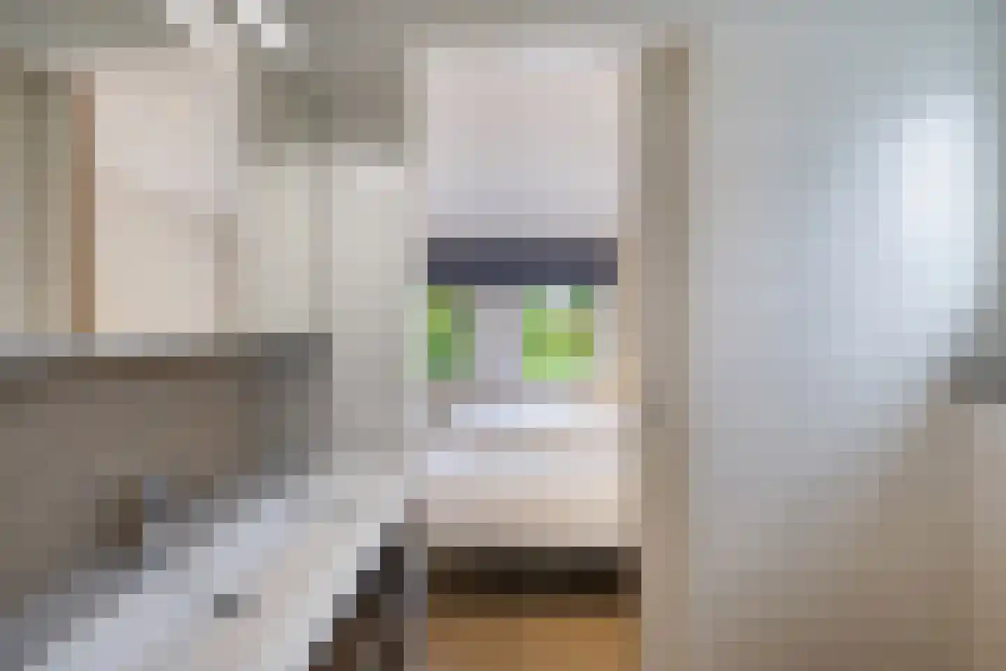 Muggenbeet 6 d Blokzijl thumbnail 41