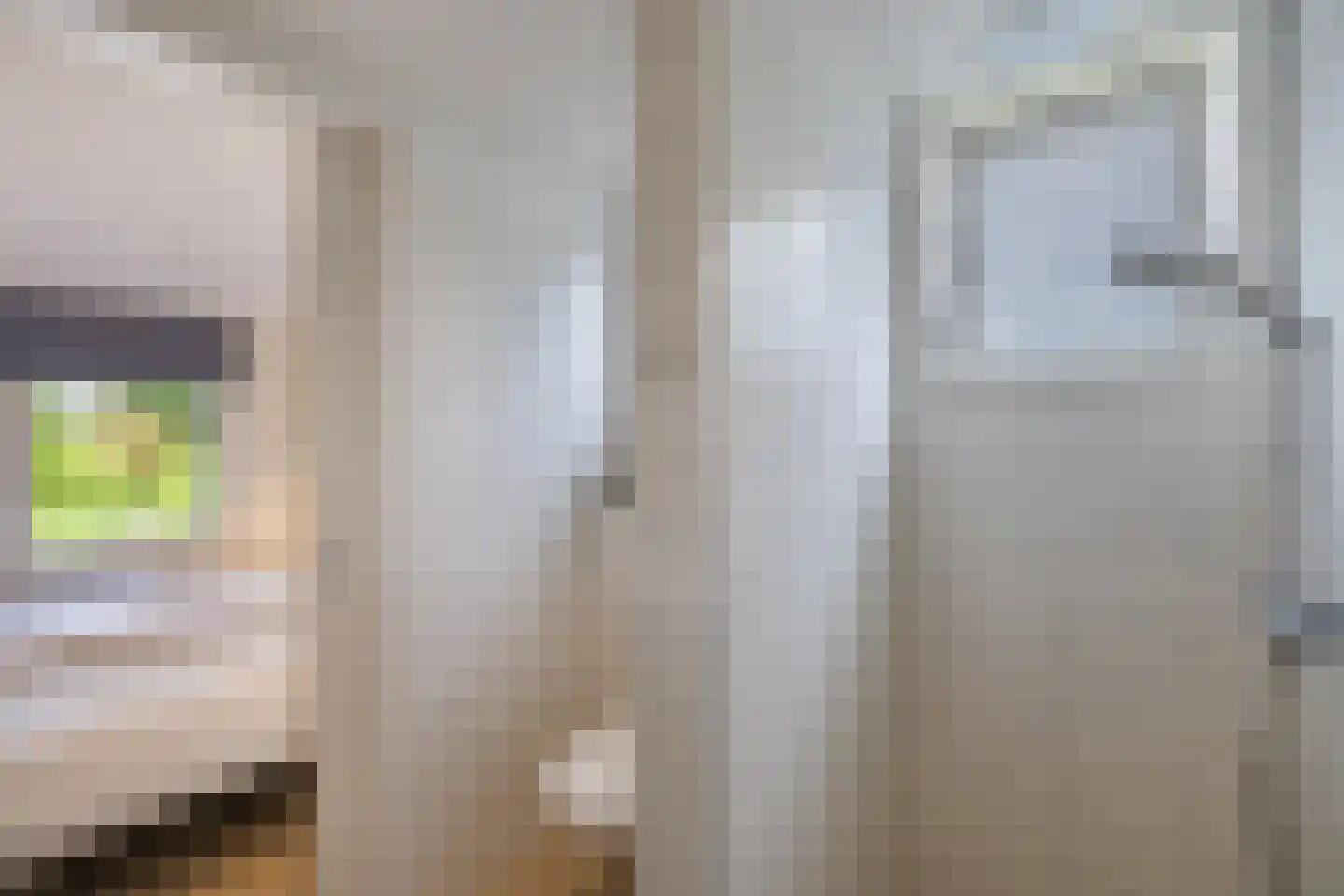 Muggenbeet 6 d Blokzijl thumbnail 43