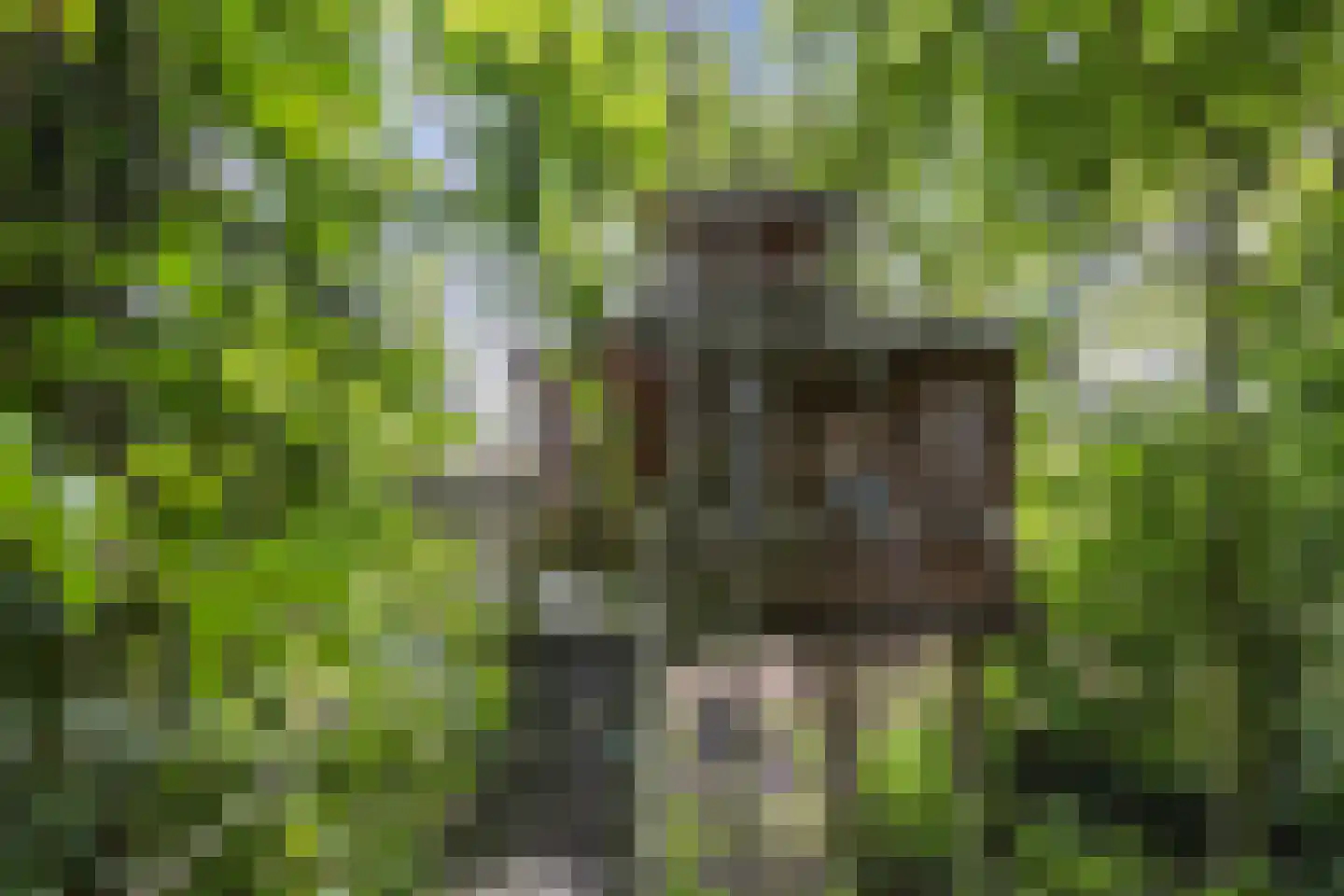 Muggenbeet 6 d Blokzijl thumbnail 54