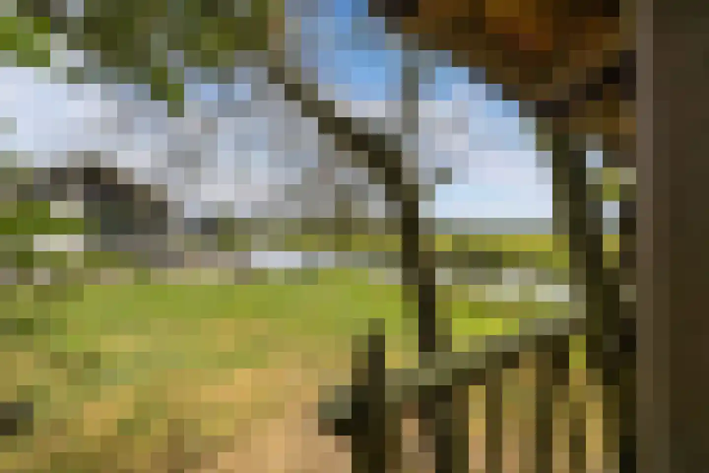 Muggenbeet 6 d Blokzijl thumbnail 55