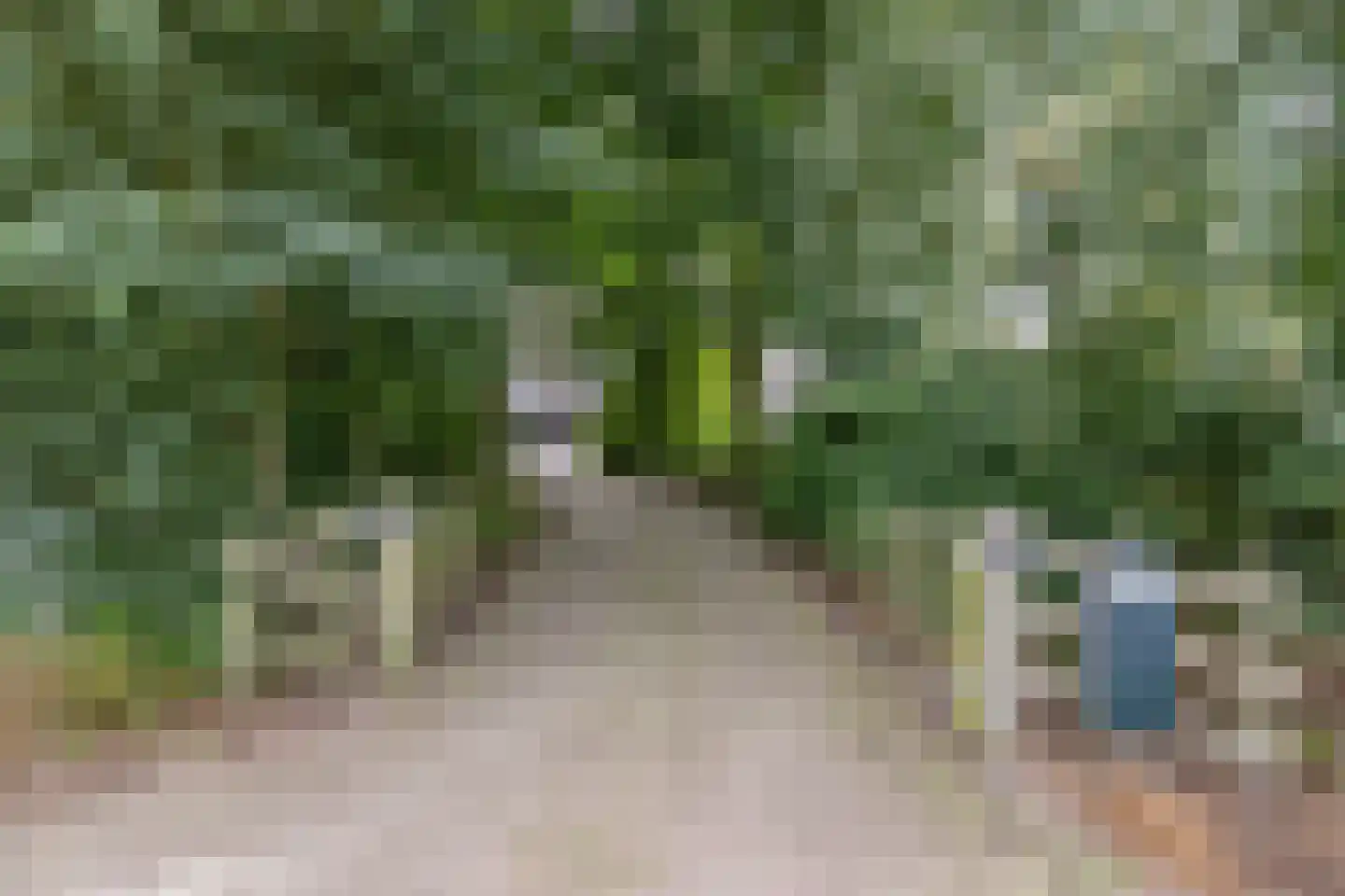 Muggenbeet 6 d Blokzijl thumbnail 57