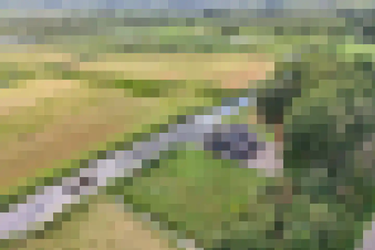Muggenbeet 6 d Blokzijl thumbnail 59