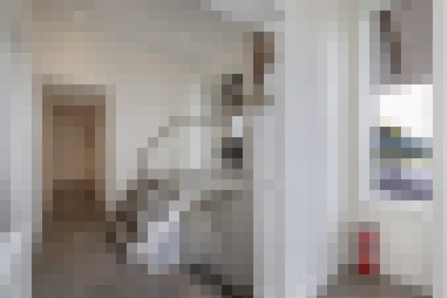 Muggenbeet 6 d Blokzijl thumbnail 6