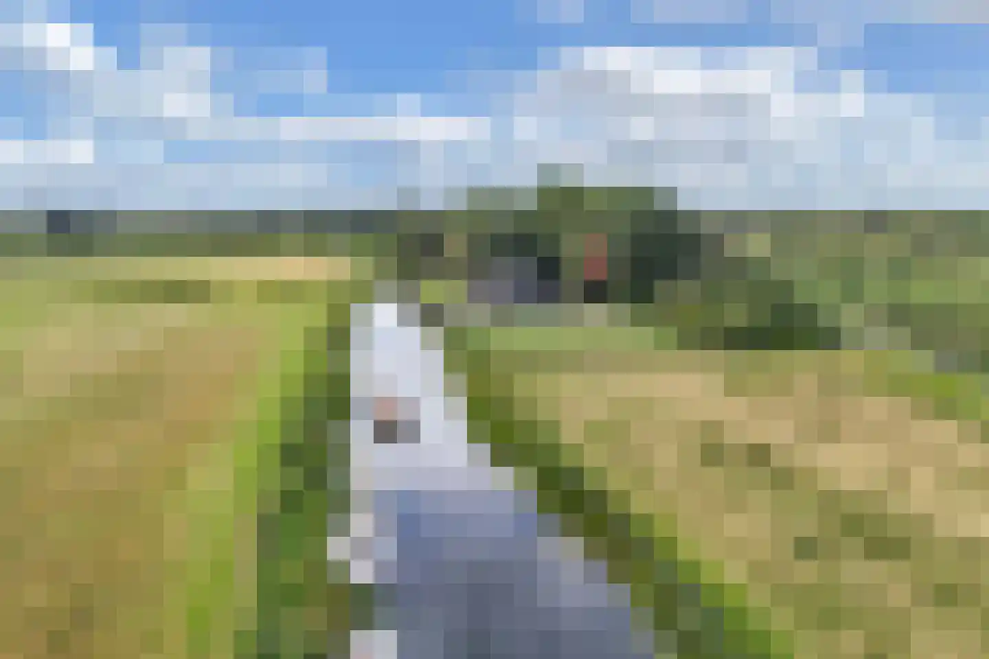 Muggenbeet 6 d Blokzijl thumbnail 60
