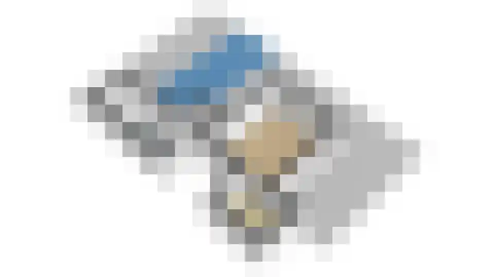 Muggenbeet 6 d Blokzijl thumbnail 65