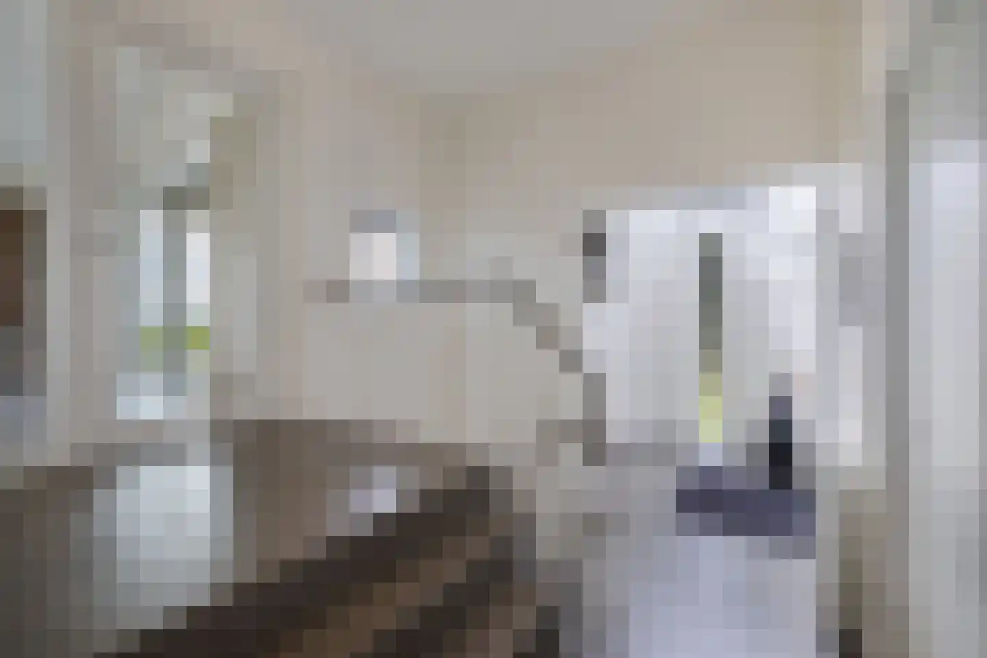 Muggenbeet 6 d Blokzijl thumbnail 7