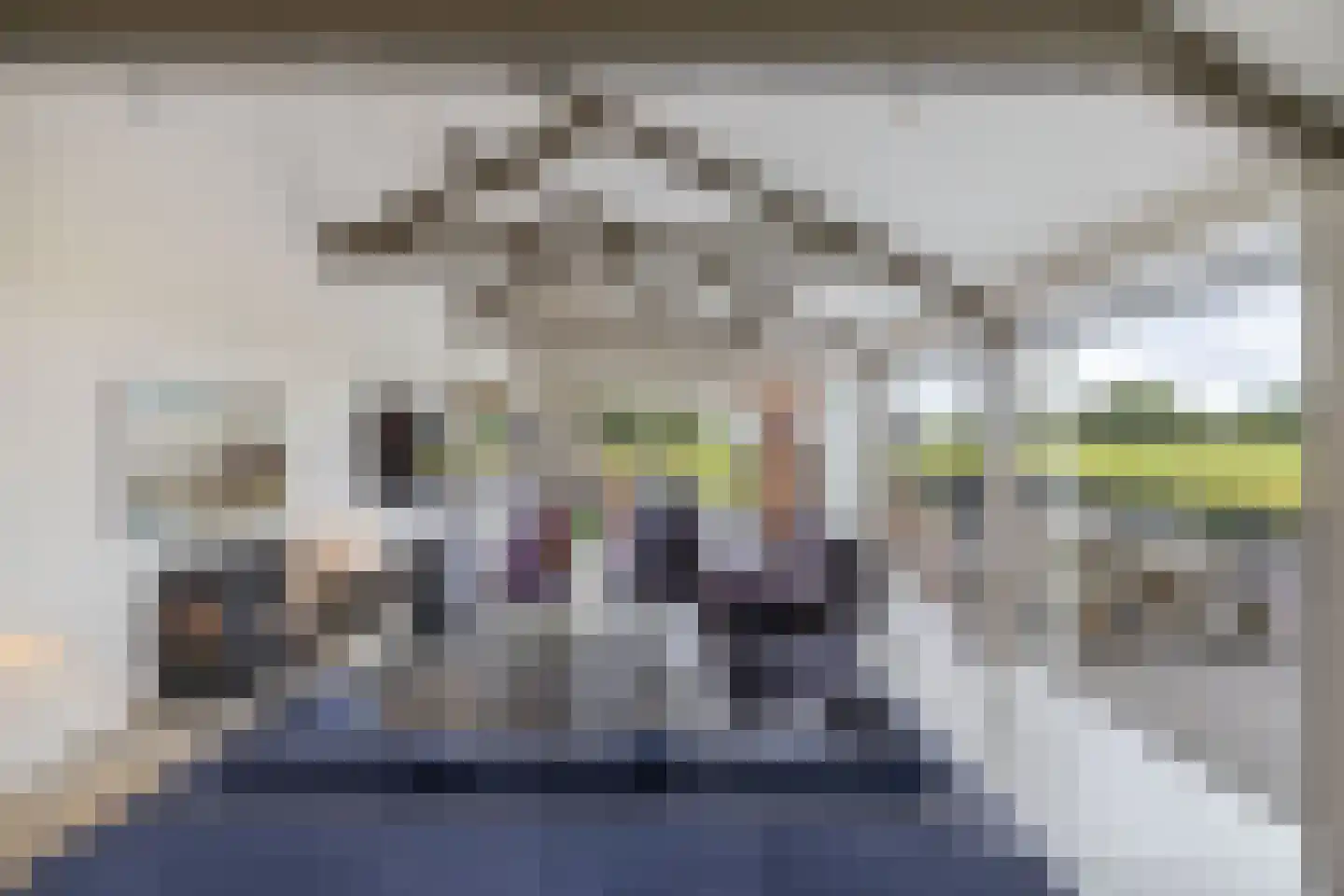 Muggenbeet 6 d Blokzijl thumbnail 9