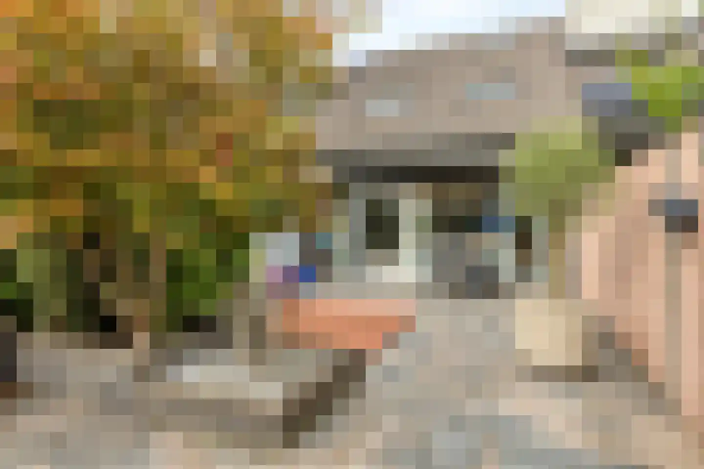 Muggenbergstraat 36 Tilburg thumbnail 5