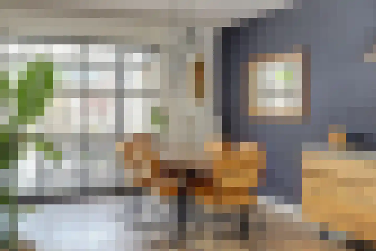 Muggenbergstraat 67 Tilburg thumbnail 9