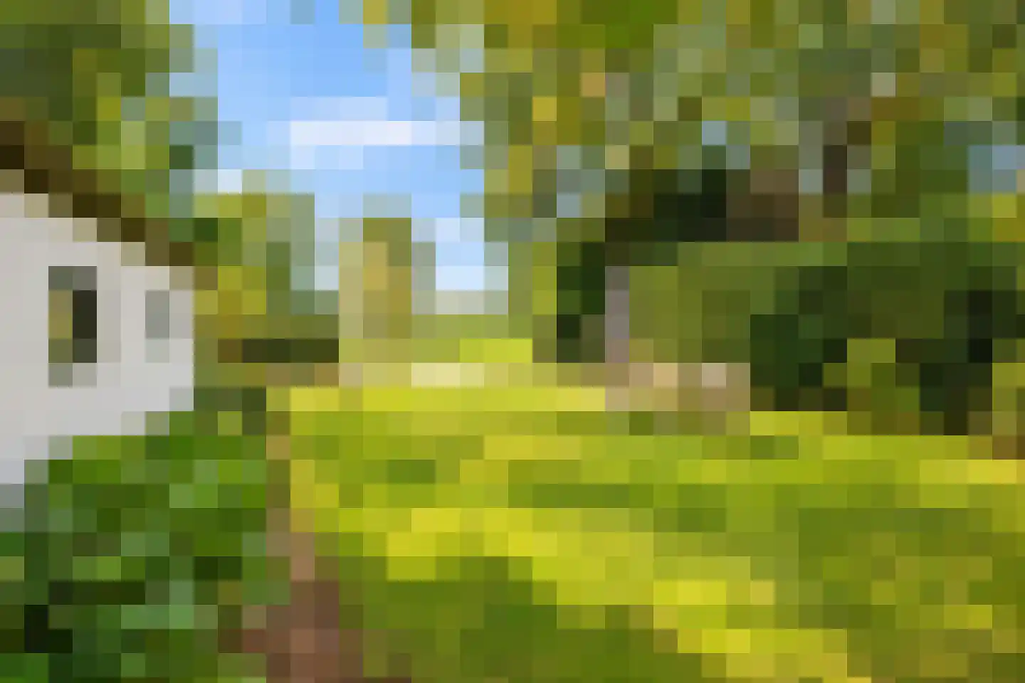 Muggenbroekerlaan 40 Roermond thumbnail 22