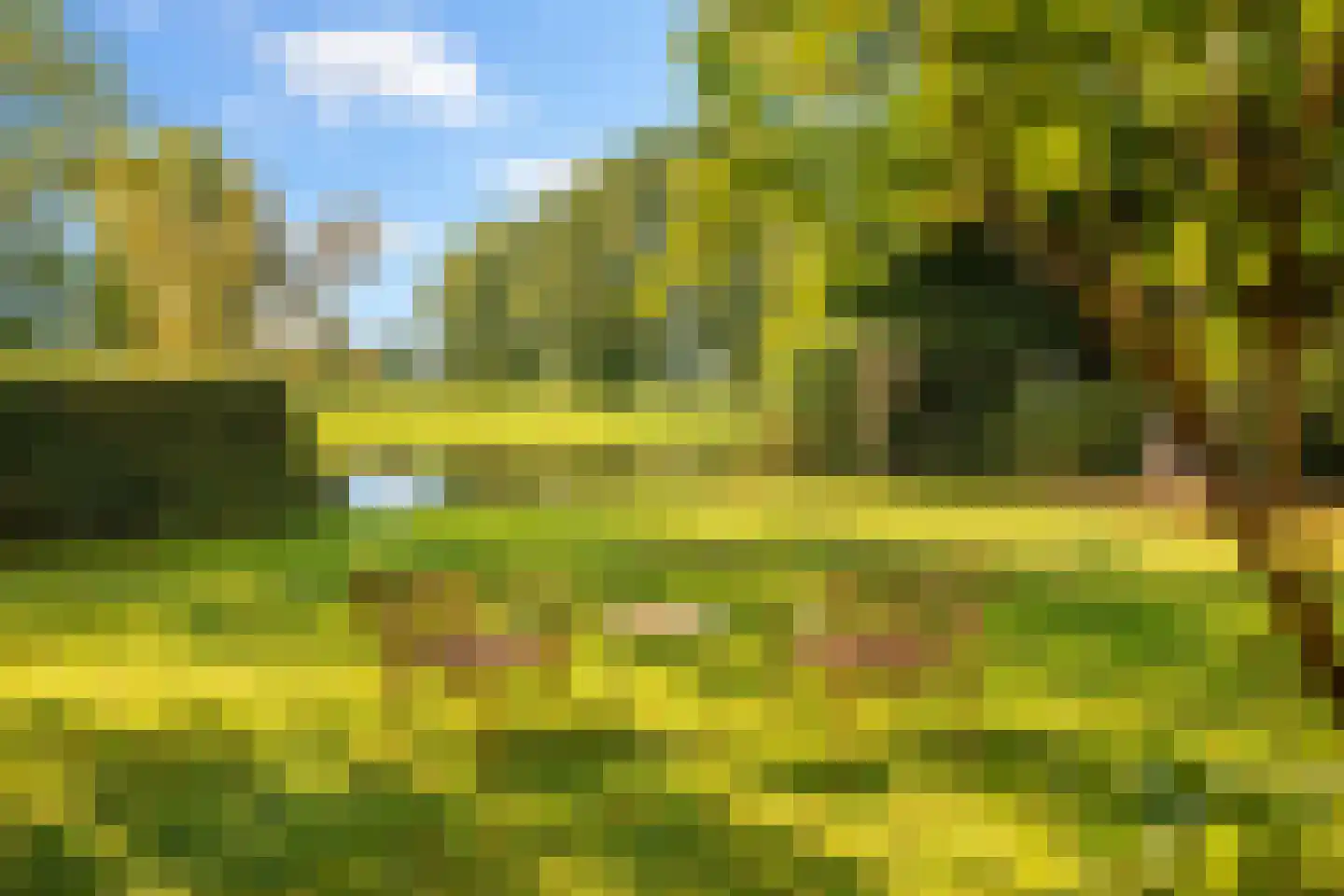 Muggenbroekerlaan 40 Roermond thumbnail 23