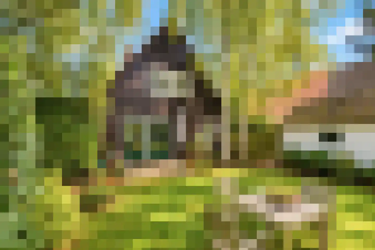 Muggenbroekerlaan 40 Roermond thumbnail 27