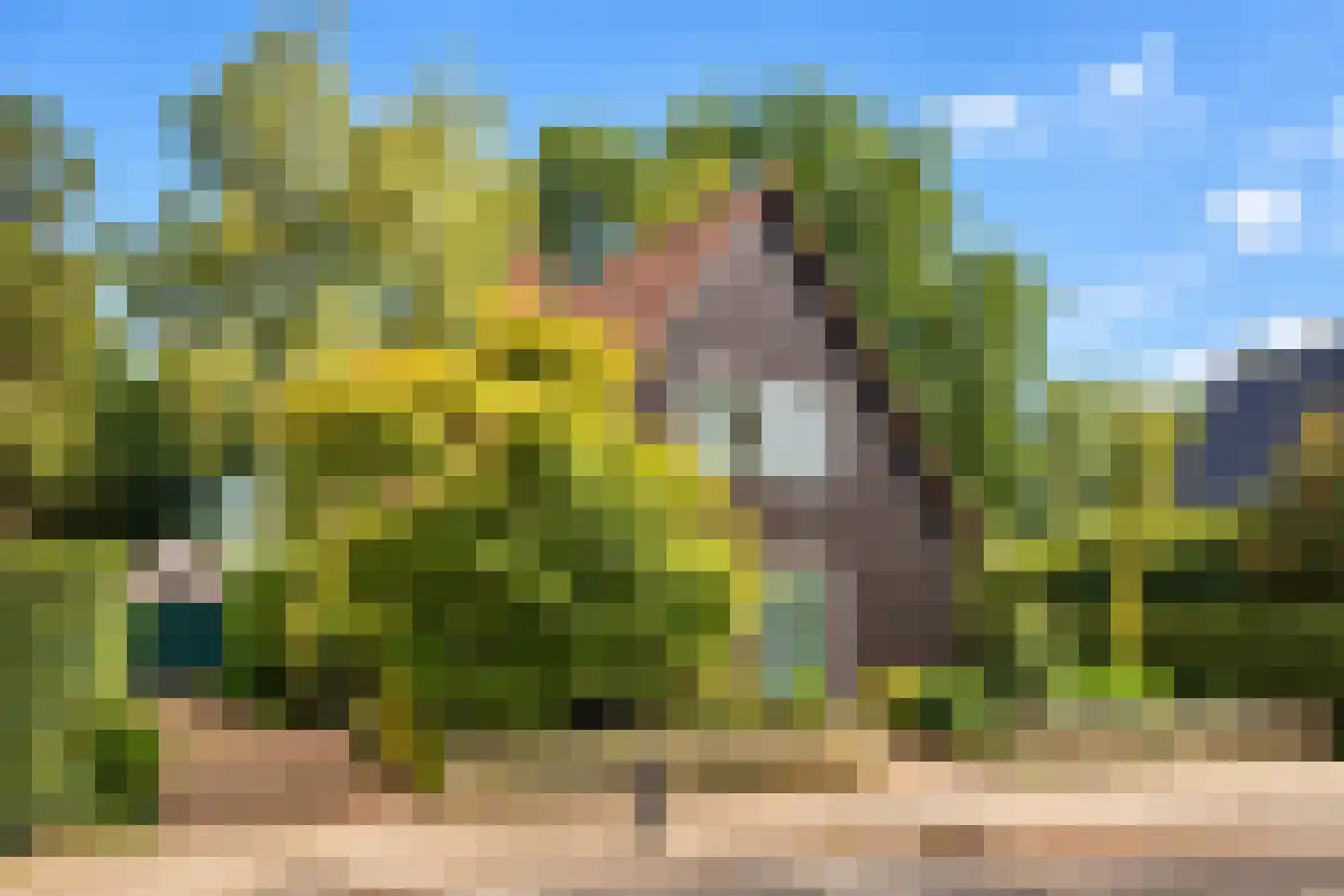 Muggenbroekerlaan 40 Roermond thumbnail 30