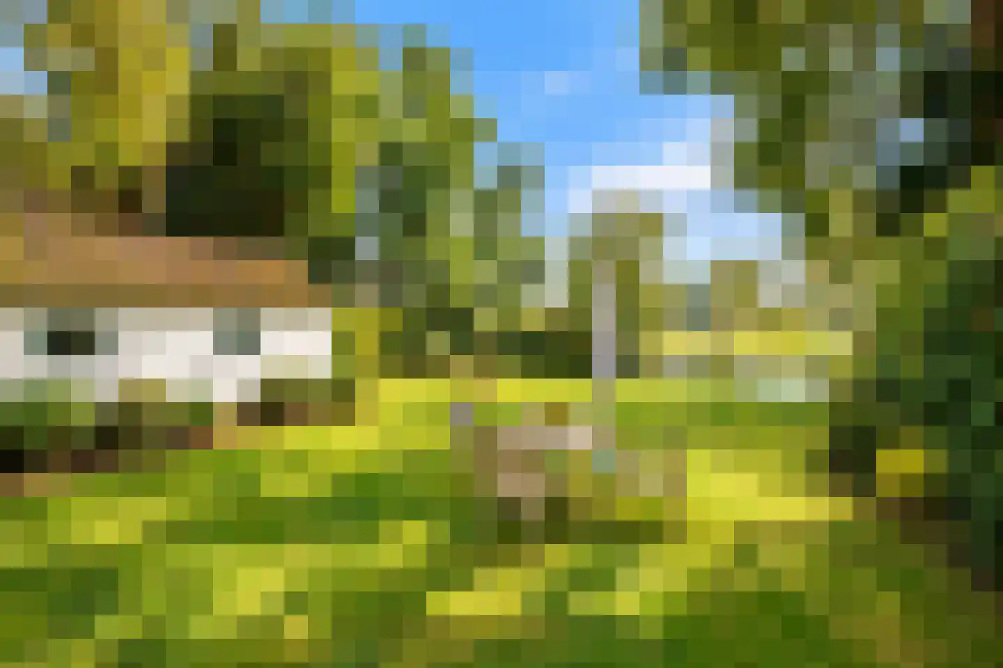 Muggenbroekerlaan 40 Roermond thumbnail 4