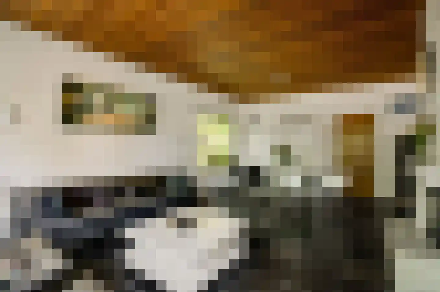 Muggenbroekerlaan 57 Roermond thumbnail 14