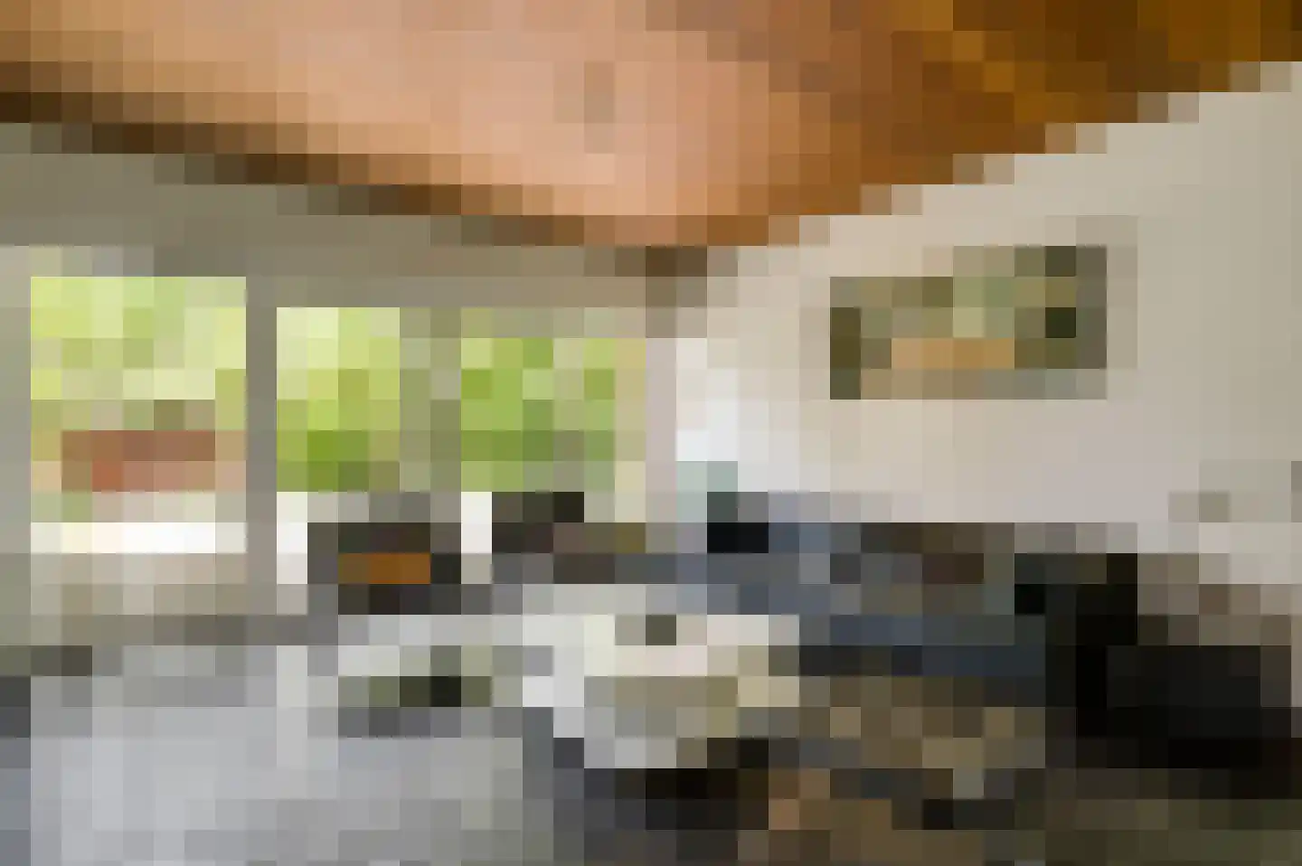 Muggenbroekerlaan 57 Roermond thumbnail 15