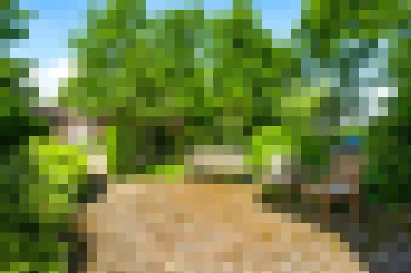 Muggenbroekerlaan 57 Roermond thumbnail 39