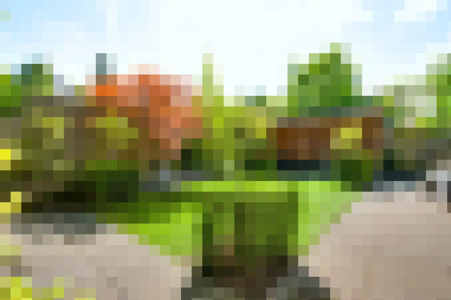 Muggenbroekerlaan 57 Roermond thumbnail 42