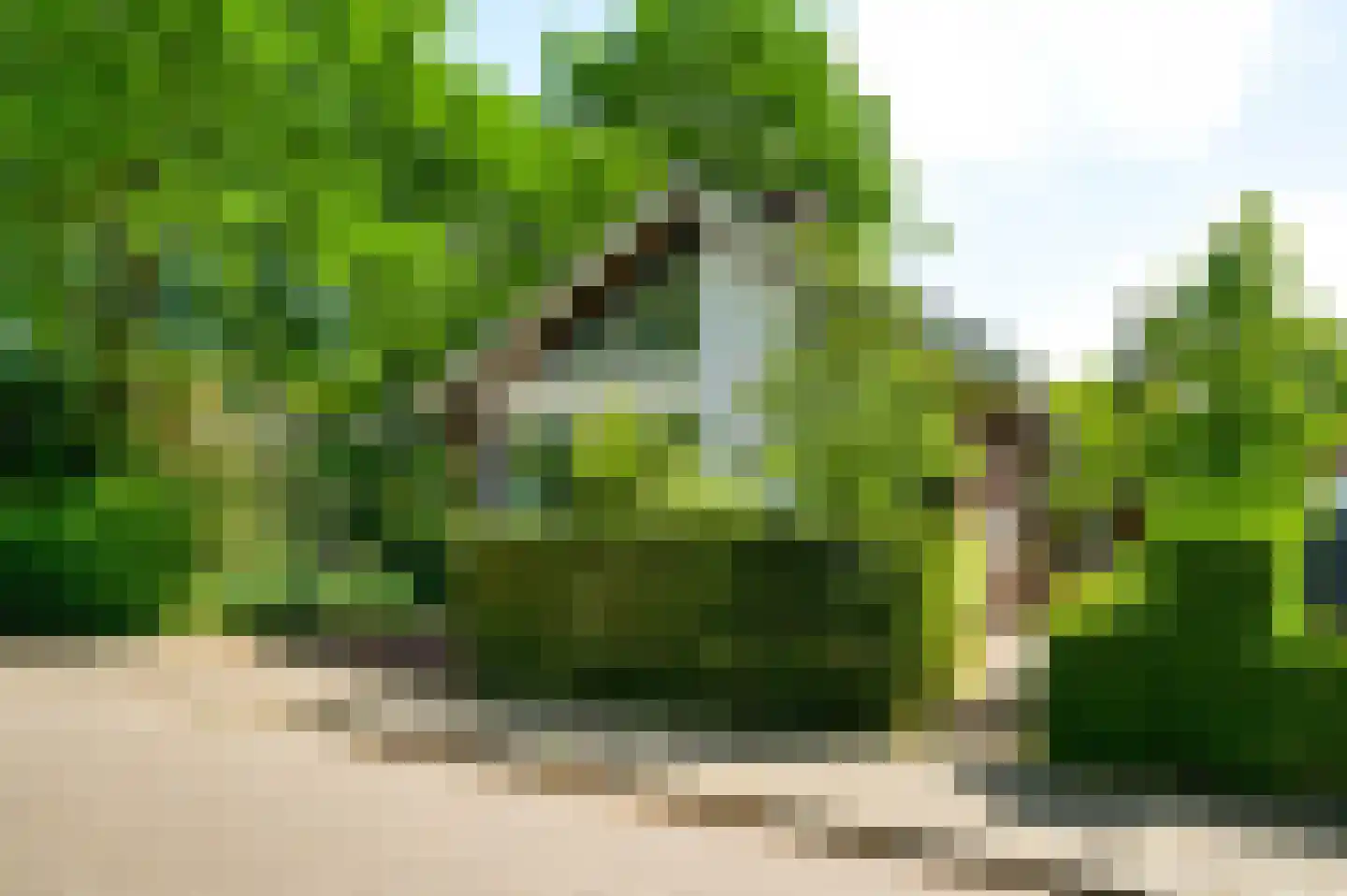 Muggenbroekerlaan 57 Roermond thumbnail 5