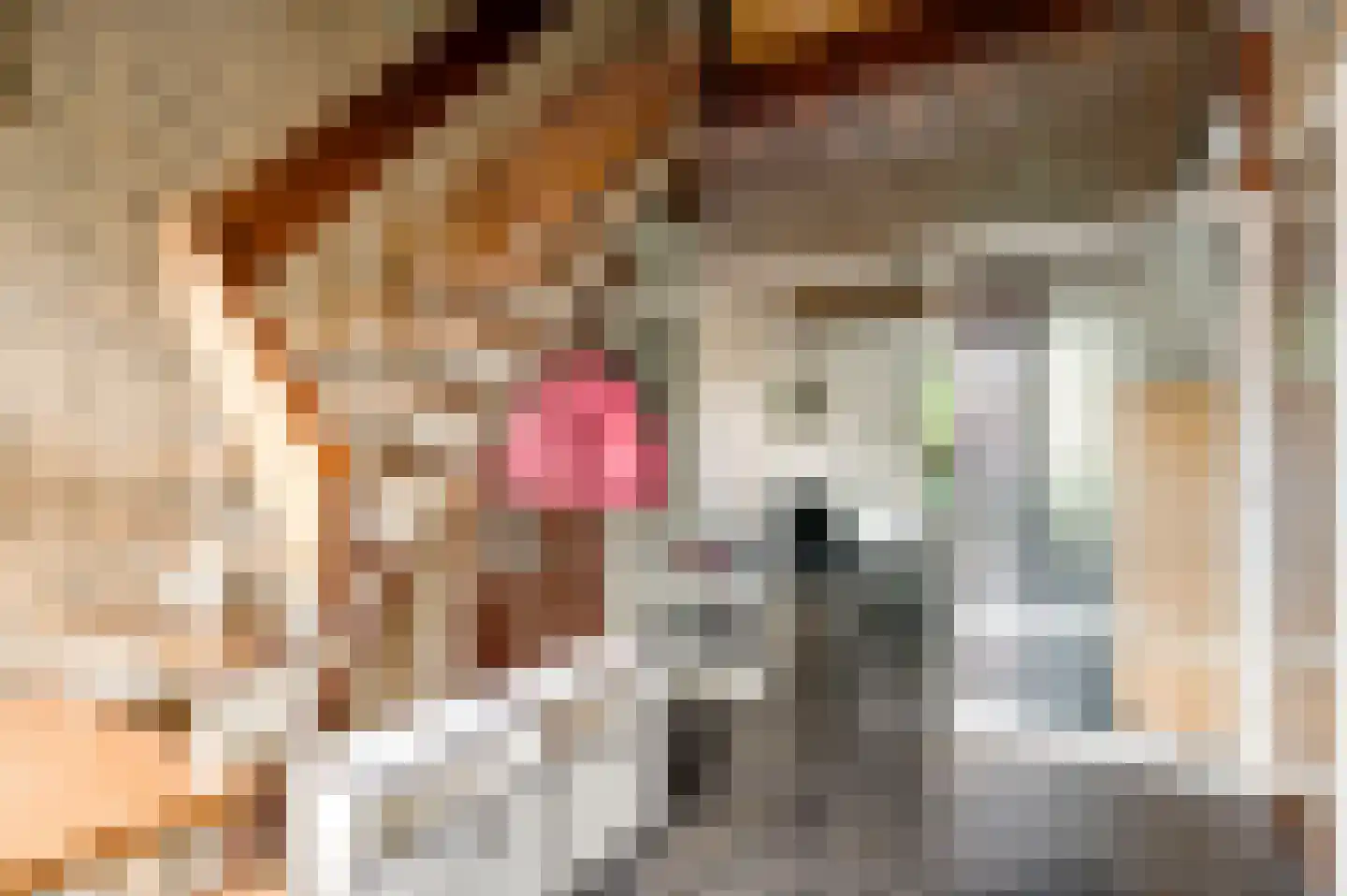 Muggenbroekerlaan 57 Roermond thumbnail 6