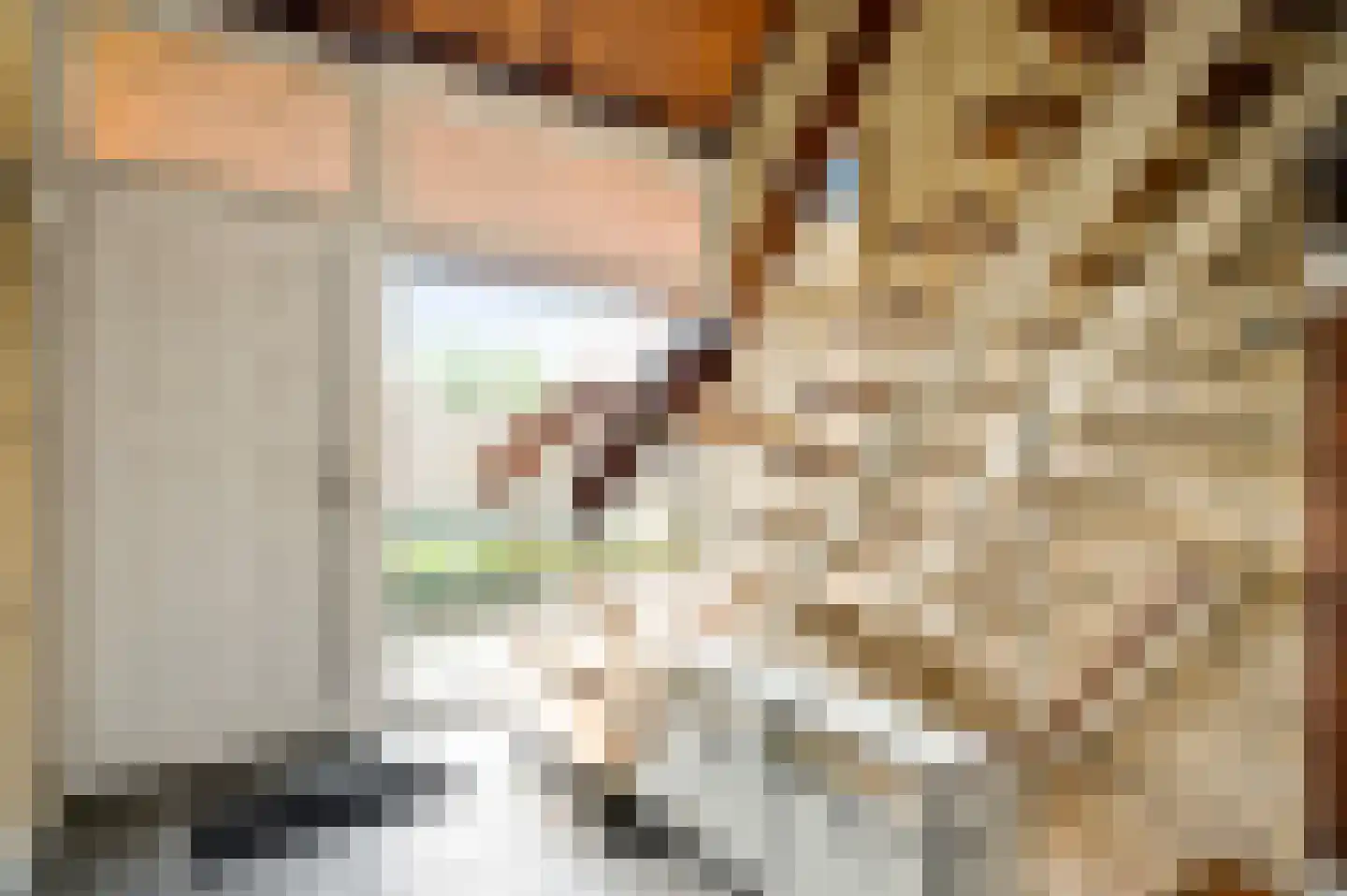 Muggenbroekerlaan 57 Roermond thumbnail 7