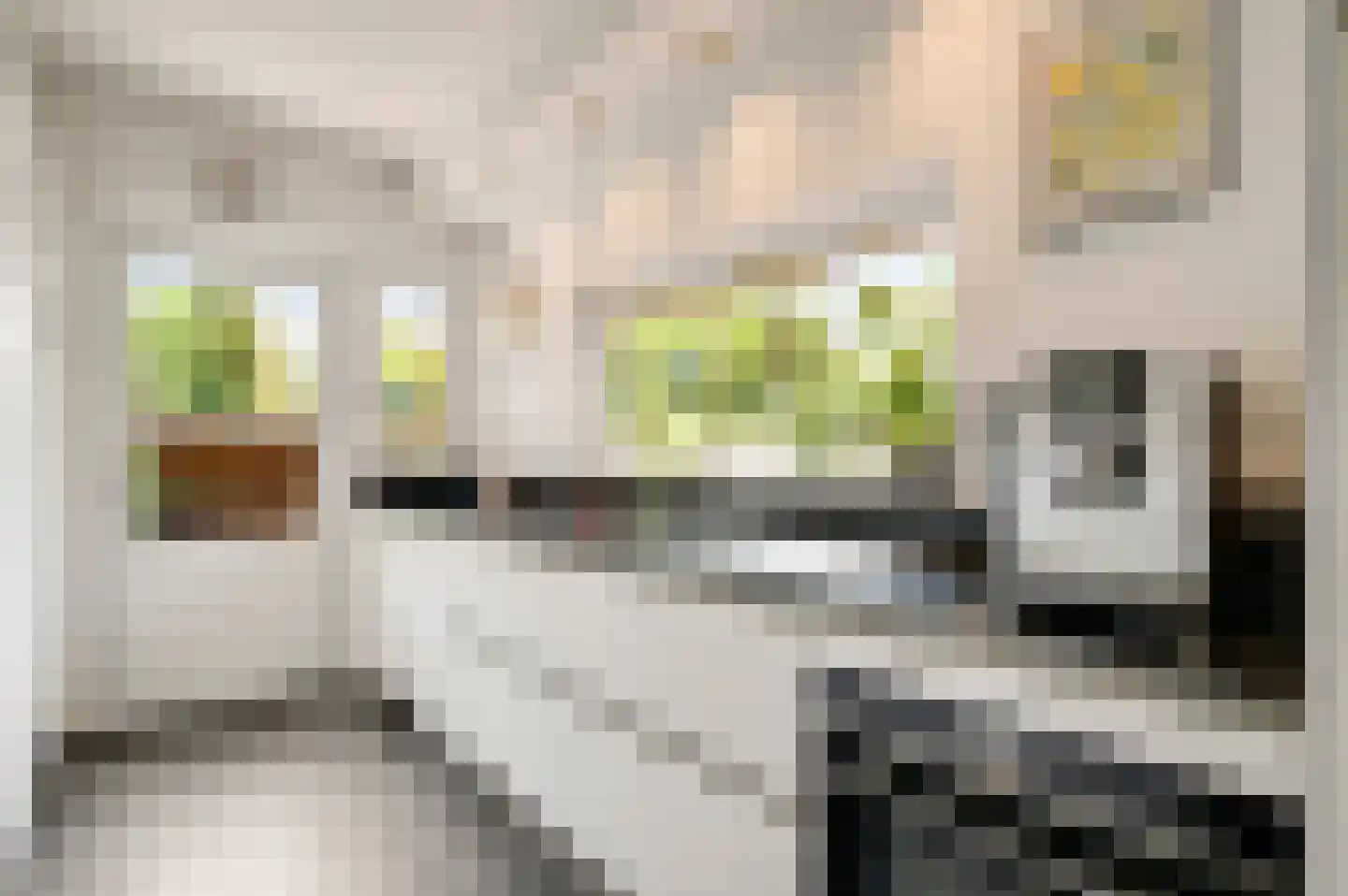 Muggenbroekerlaan 57 Roermond thumbnail 9