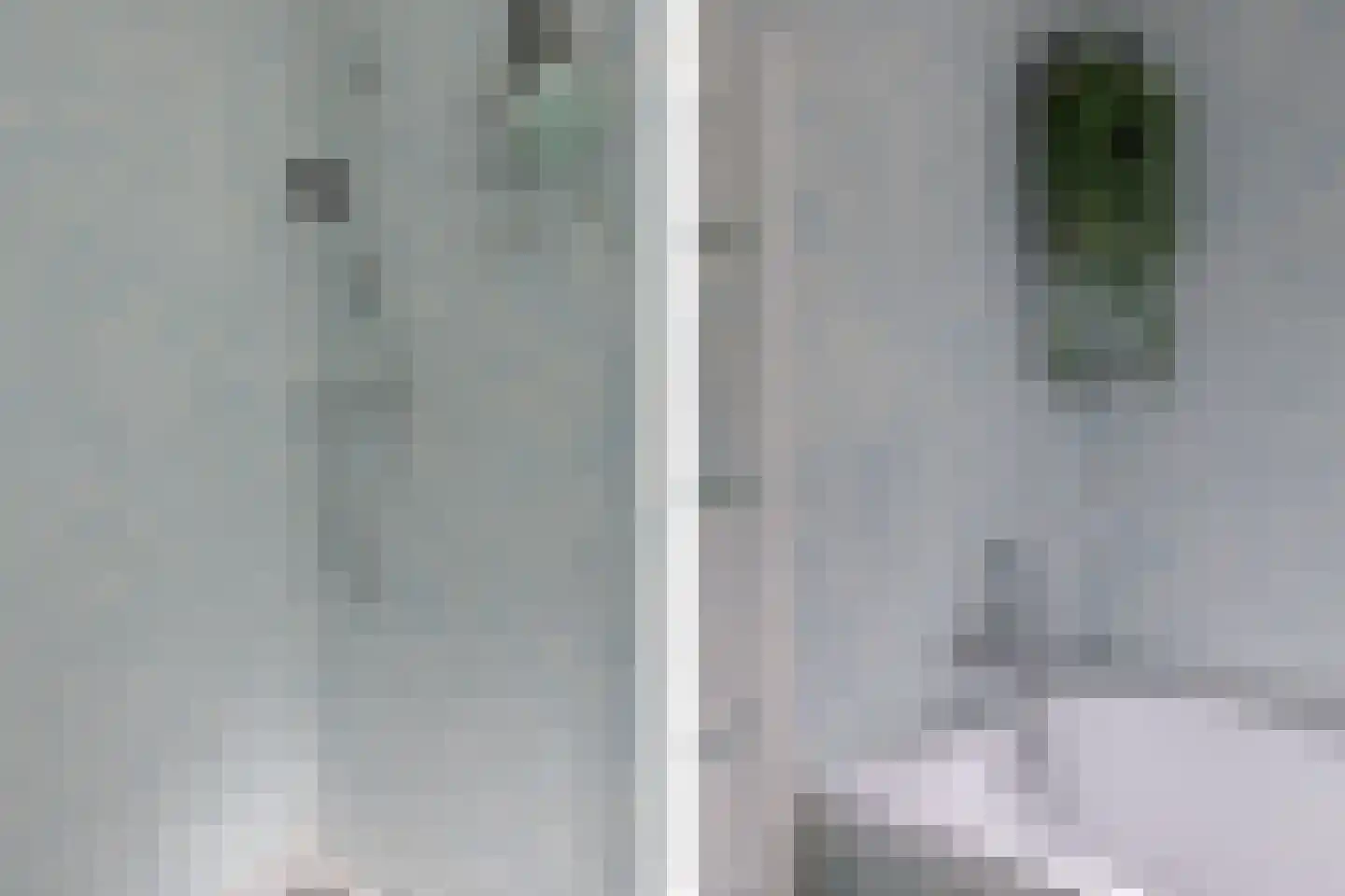 Muggenburgerweg 1 Haringhuizen thumbnail 12
