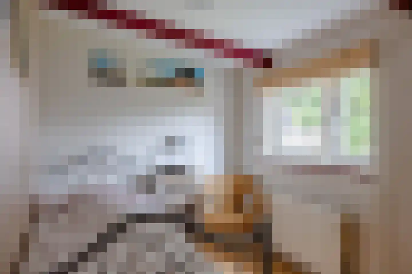 Muggenburgerweg 1 Haringhuizen thumbnail 13