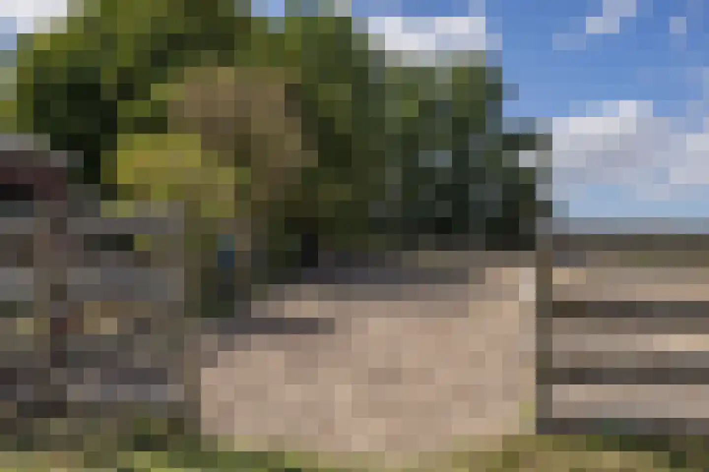 Muggenburgerweg 1 Haringhuizen thumbnail 22