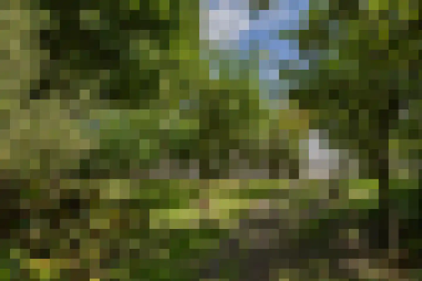 Muggenburgerweg 1 Haringhuizen thumbnail 26