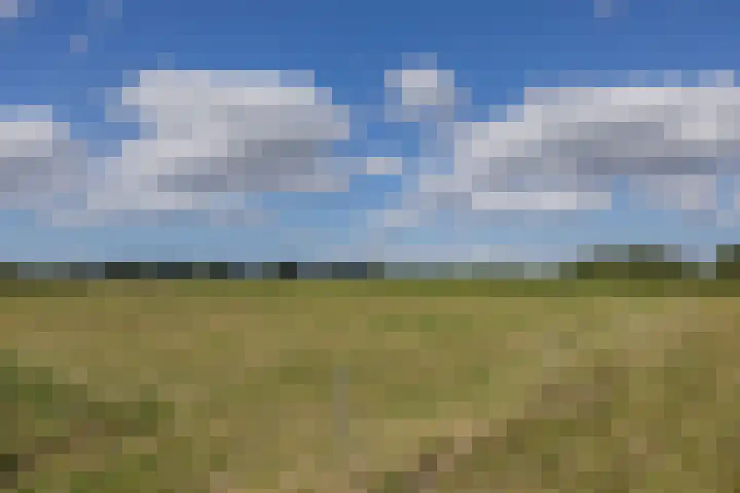 Muggenburgerweg 1 Haringhuizen thumbnail 28