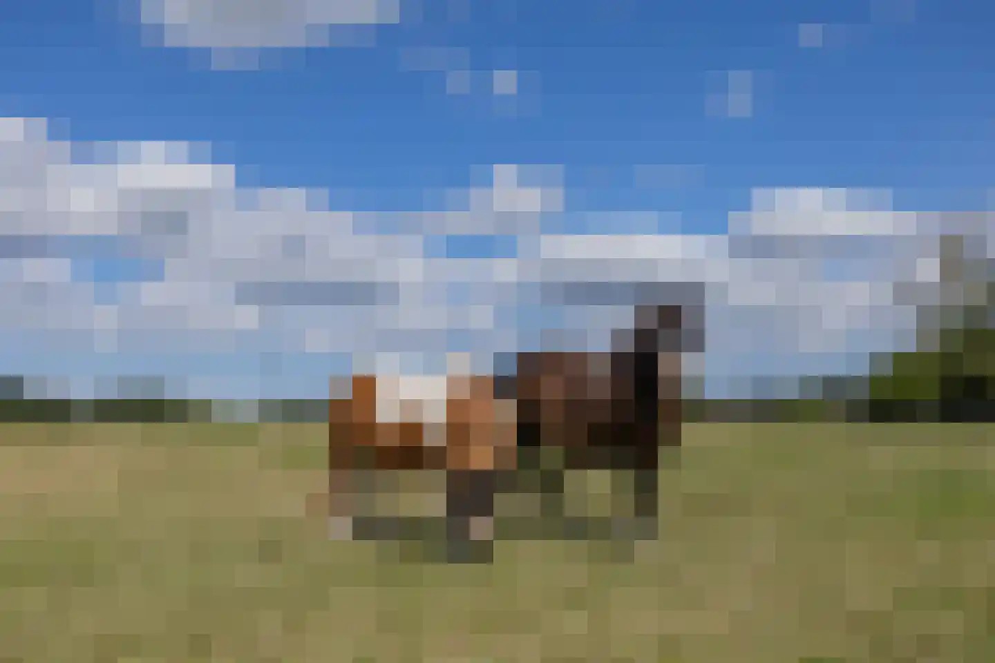 Muggenburgerweg 1 Haringhuizen thumbnail 29