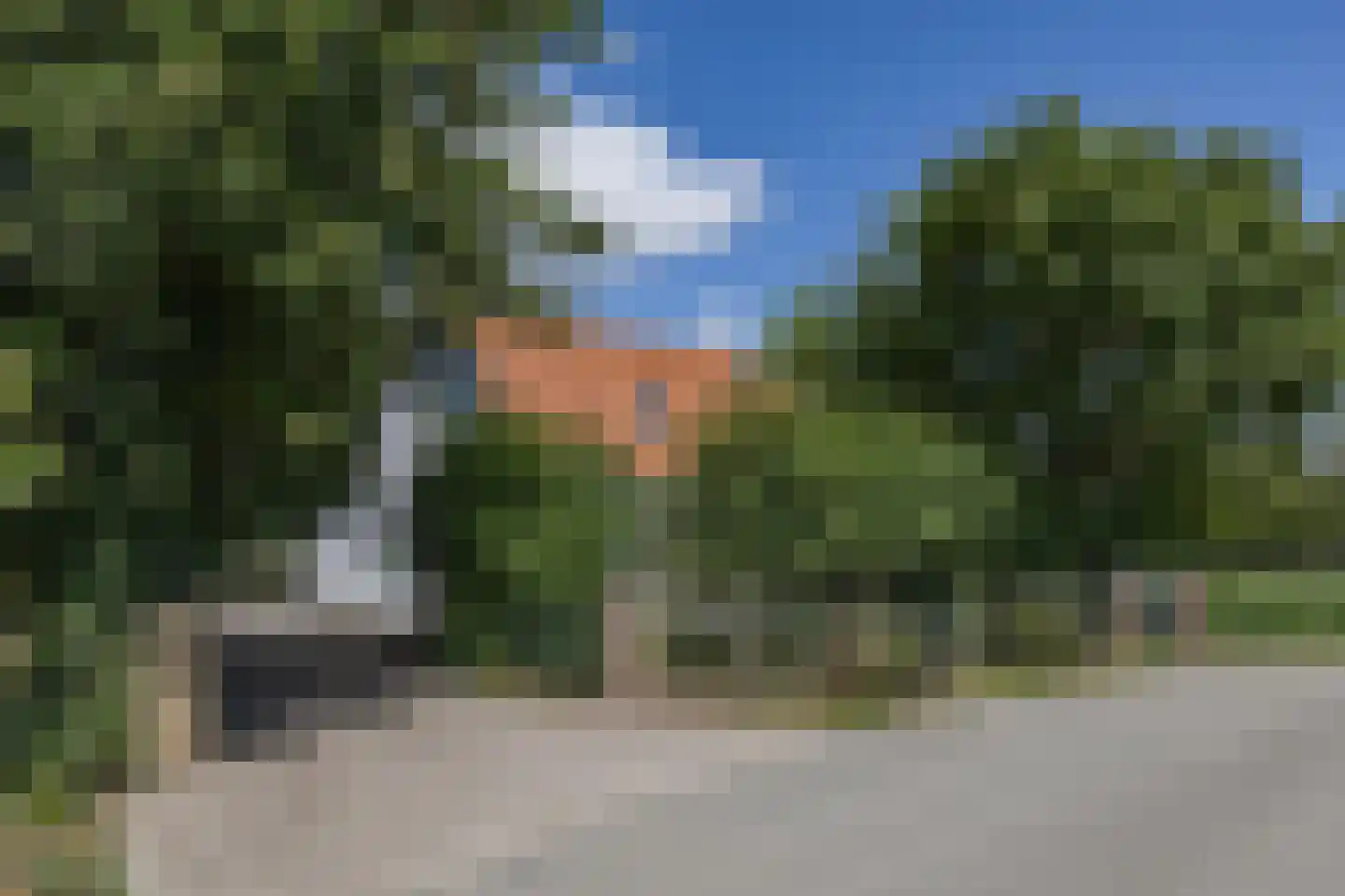 Muggenburgerweg 1 Haringhuizen foto 3