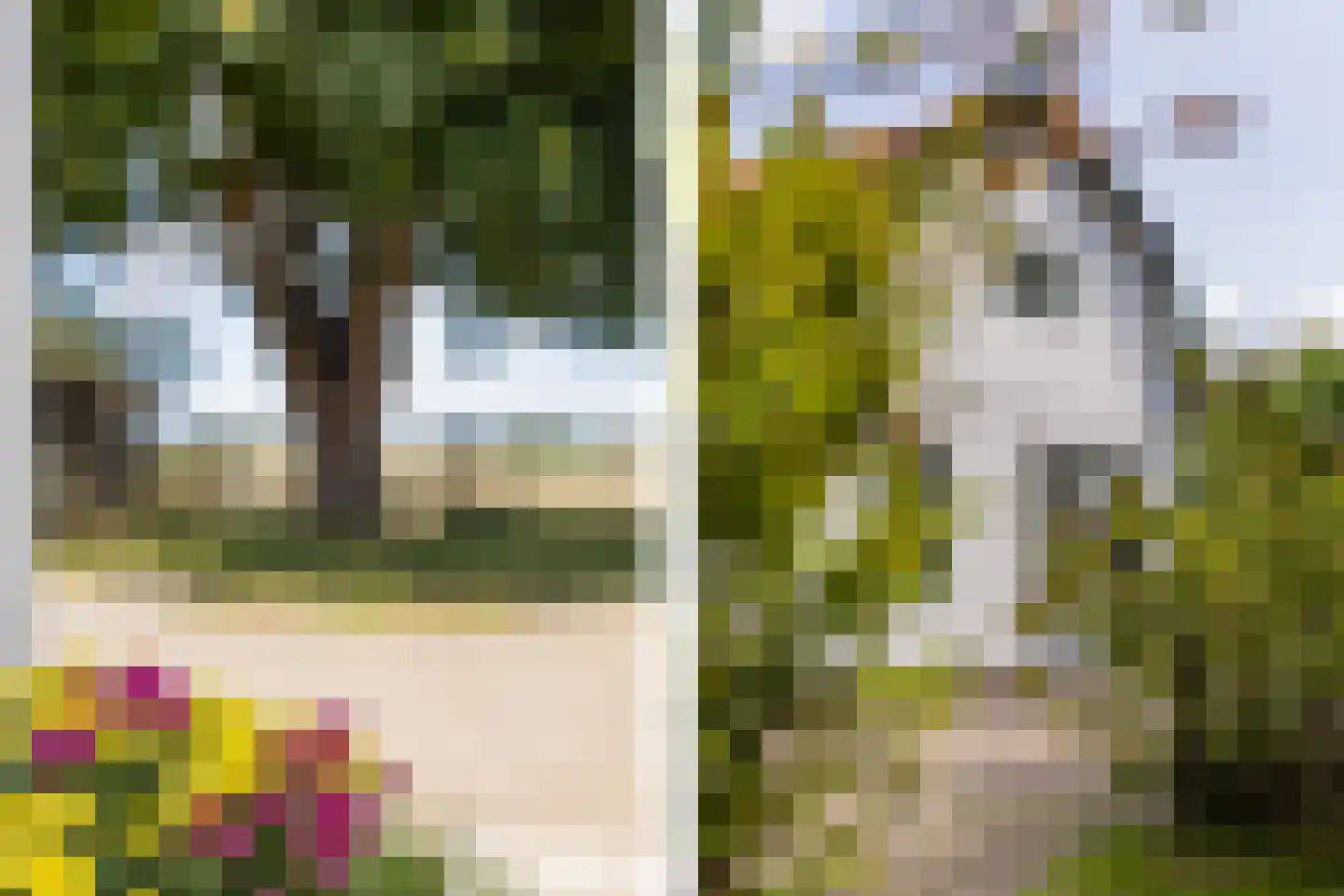 Muggenburgerweg 1 Haringhuizen thumbnail 30