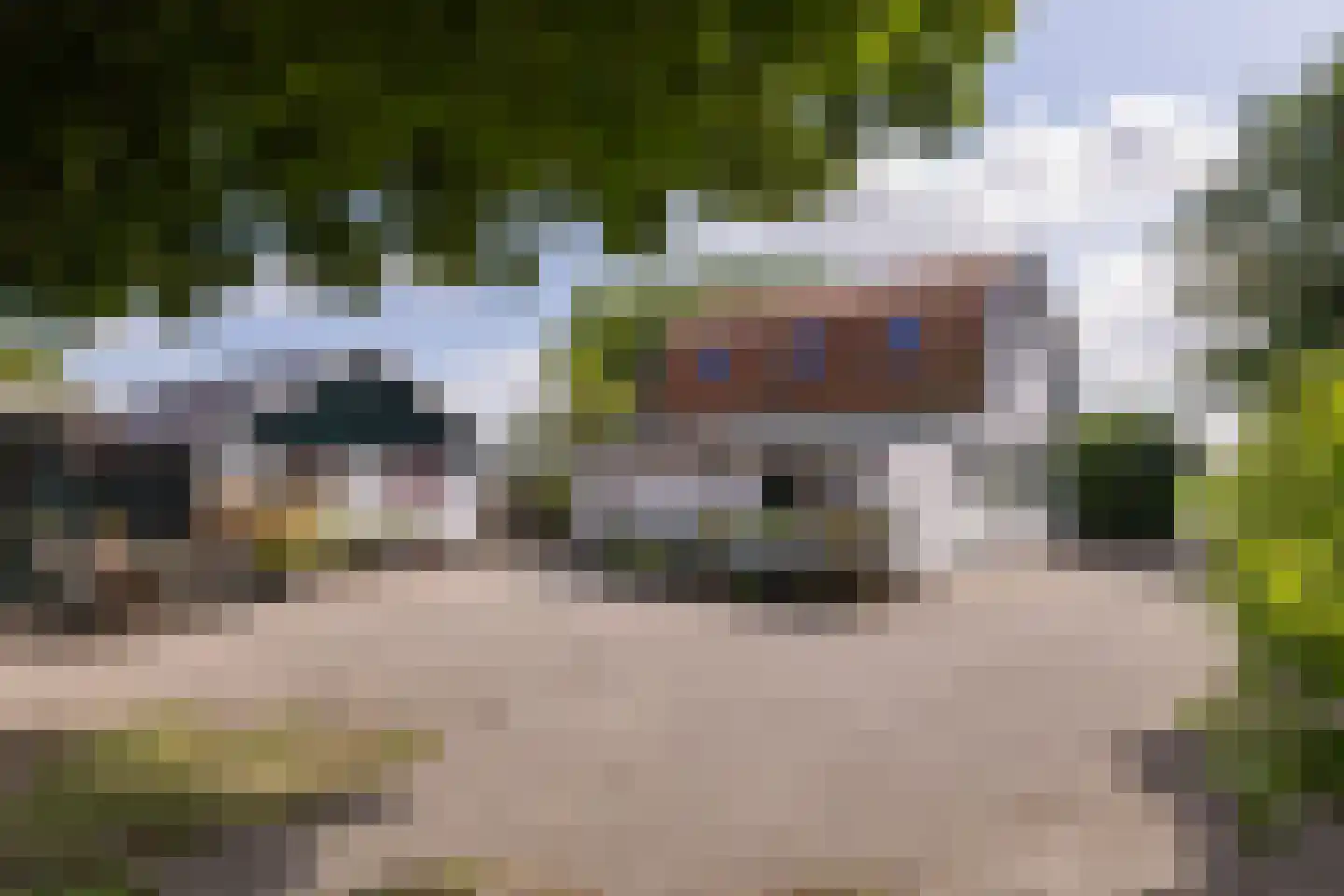 Muggenburgerweg 1 Haringhuizen thumbnail 4