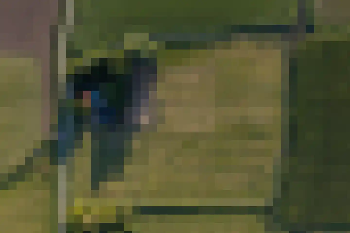 Muggenburgerweg 1 Haringhuizen thumbnail 5