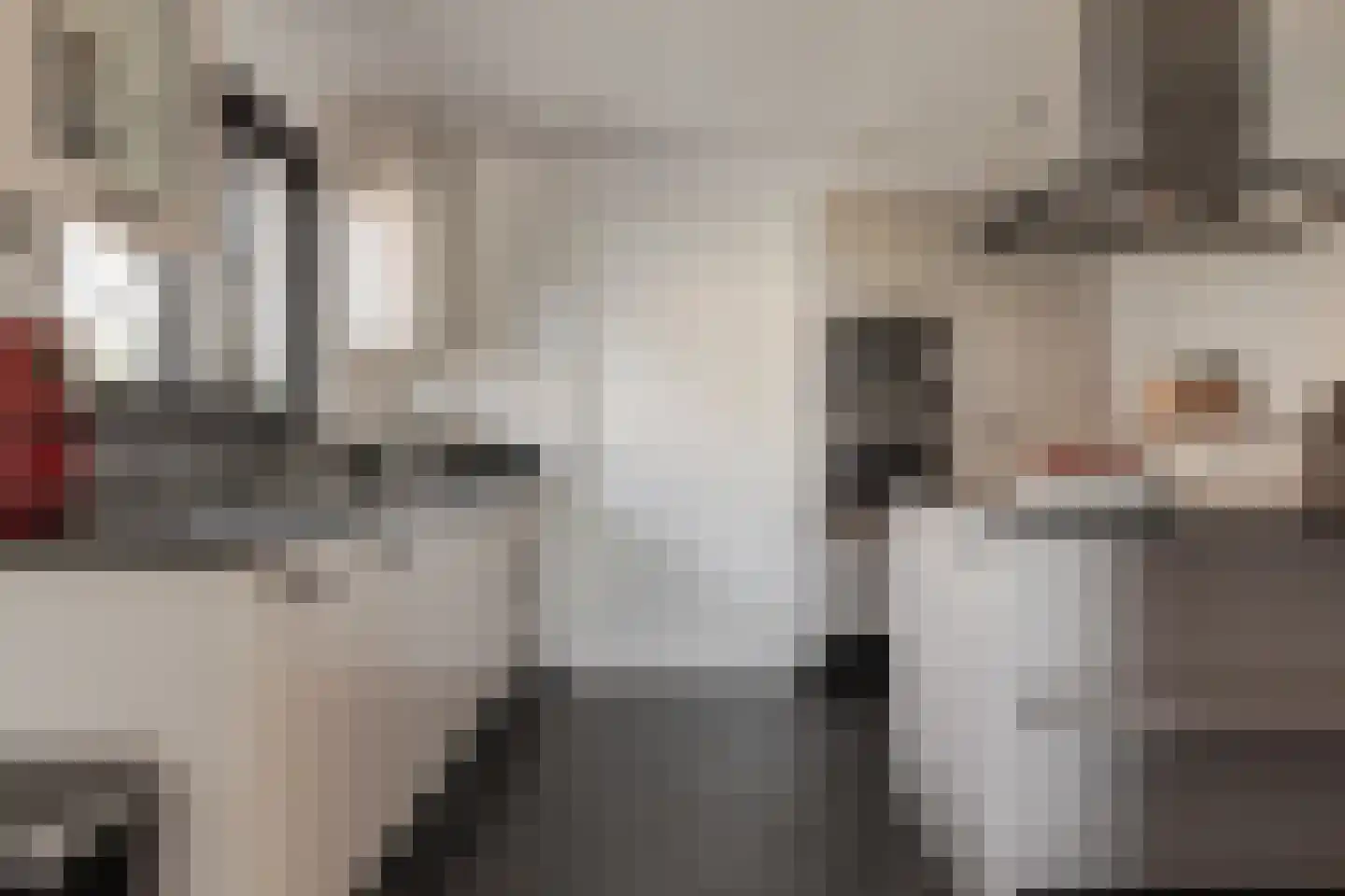 Muggenburgerweg 7 Haringhuizen thumbnail 11