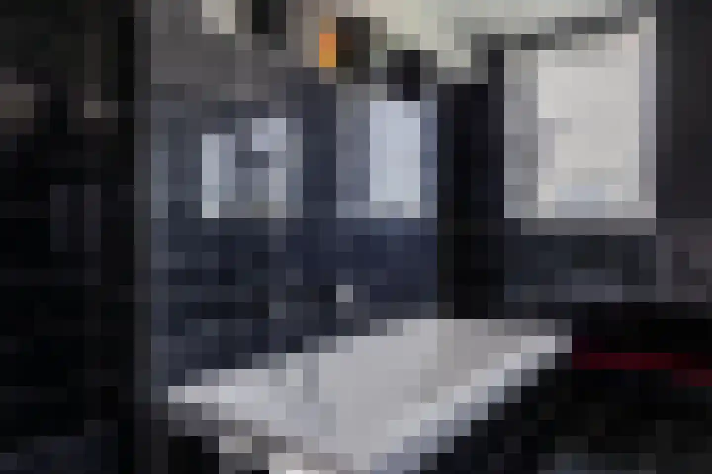 Muggenburgerweg 7 Haringhuizen thumbnail 19