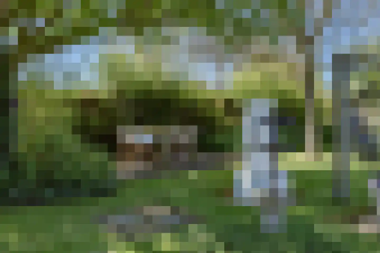 Muggenburgerweg 7 Haringhuizen thumbnail 27