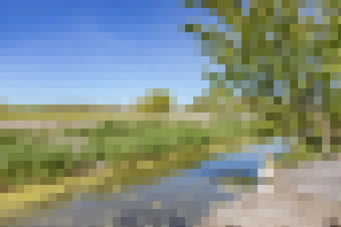 Muggenburgerweg 7 Haringhuizen thumbnail 30