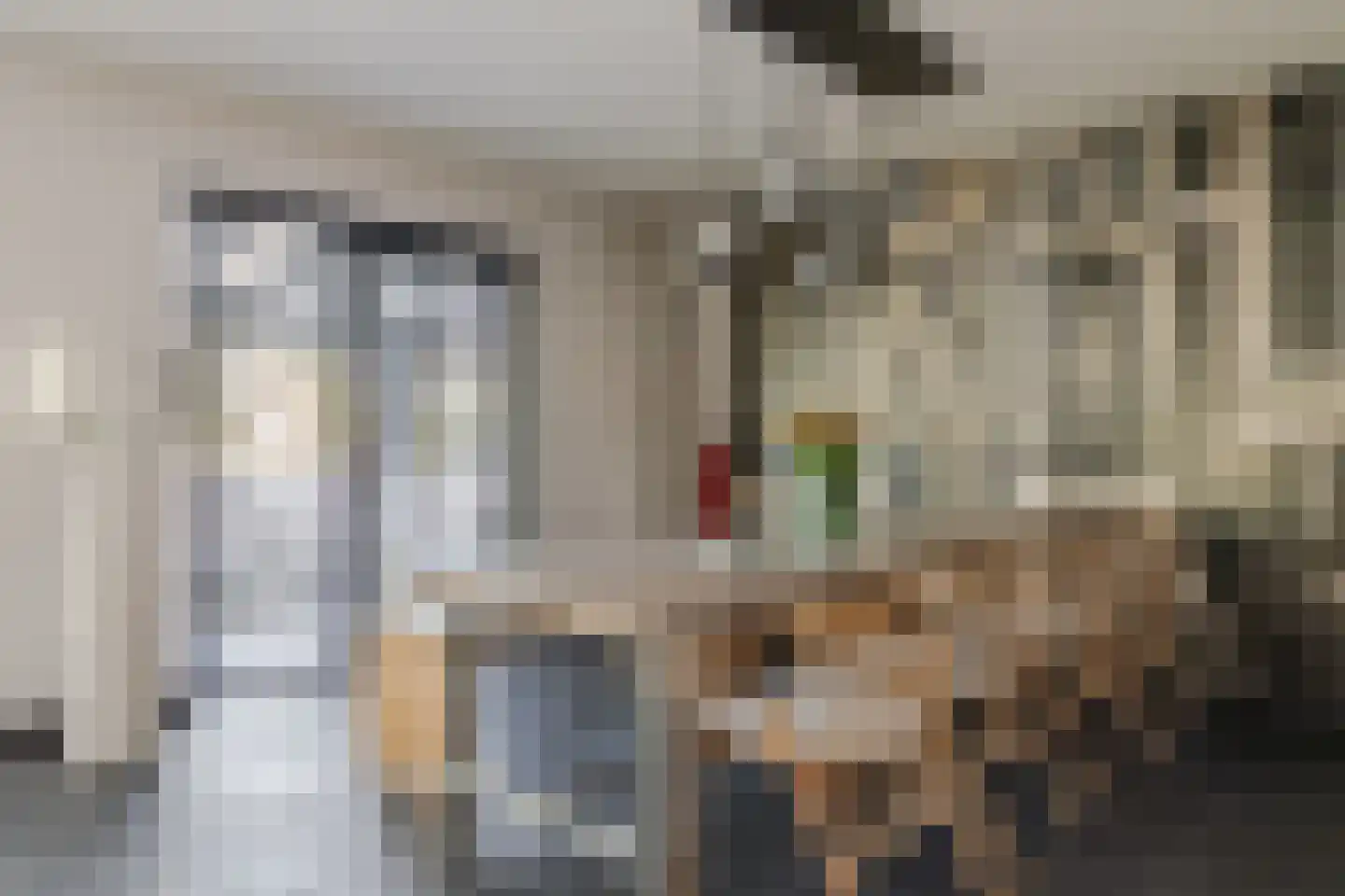 Muggenburgerweg 7 Haringhuizen thumbnail 7