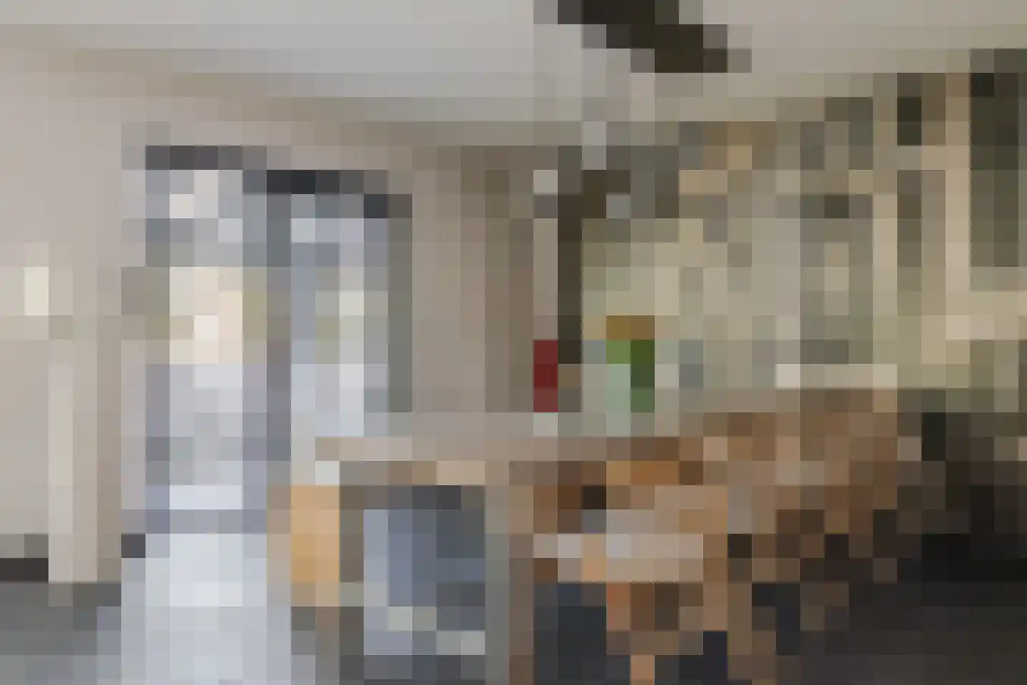 Muggenburgerweg 7 Haringhuizen thumbnail 8