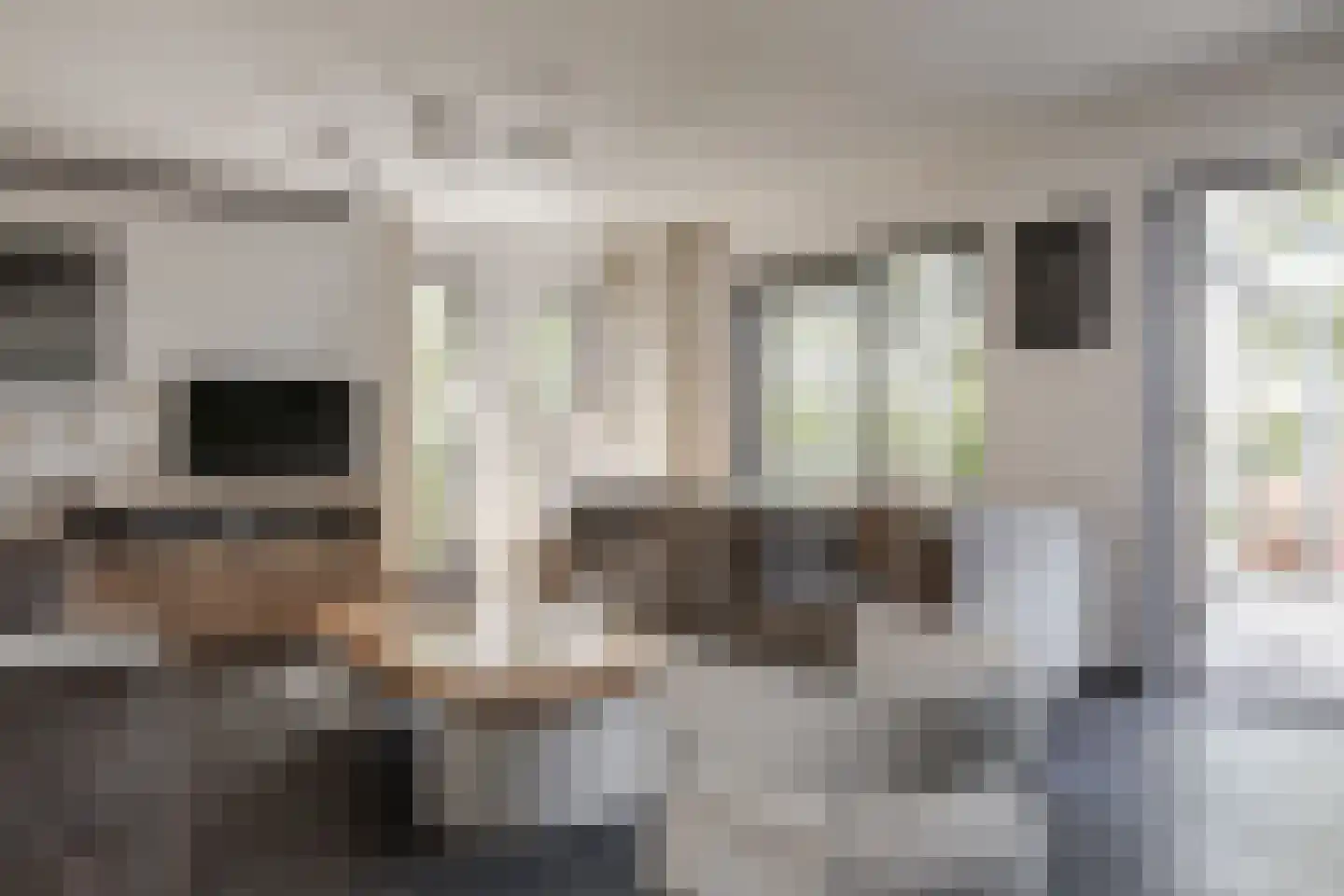 Muggenburgerweg 7 Haringhuizen thumbnail 9