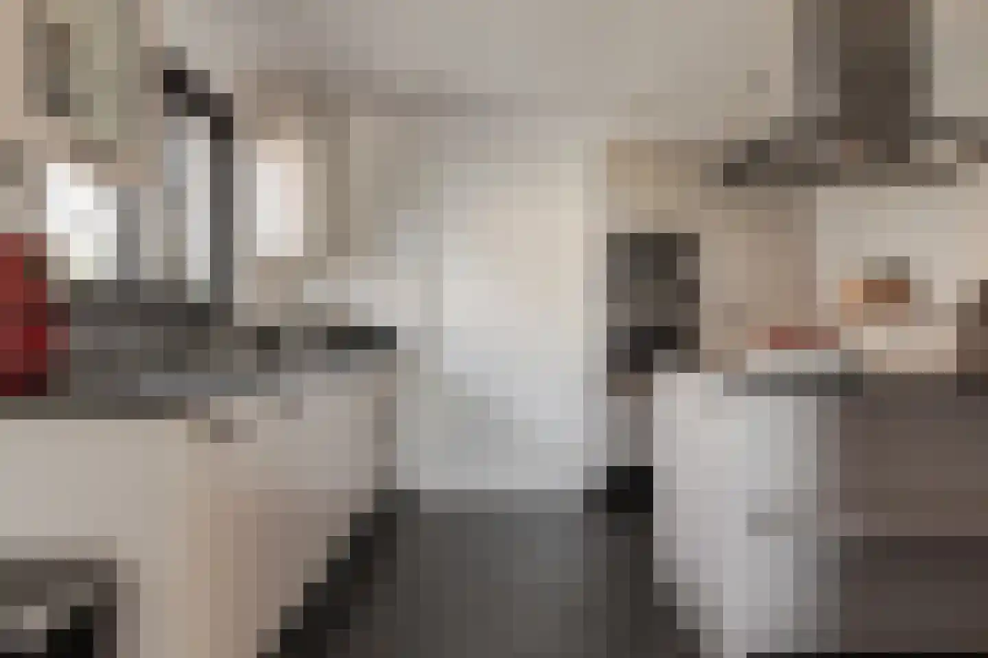 Muggenburgerweg 7 Haringhuizen thumbnail 9